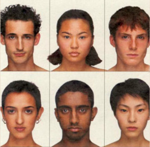 caucasian race features